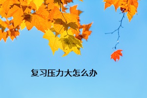 復(fù)習(xí)壓力大怎么辦