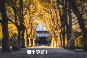 哪個(gè)更難？