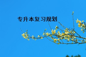 專升本復(fù)習(xí)規(guī)劃