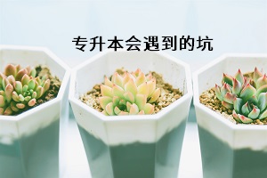 專(zhuān)升本會(huì)遇到的坑