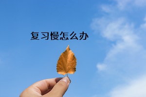 復(fù)習(xí)慢怎么辦