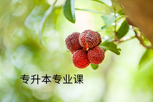 湖北專升本專業(yè)課復(fù)習(xí)