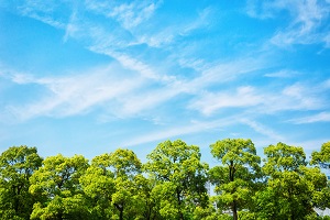 對(duì)復(fù)習(xí)情況進(jìn)行總結(jié)反思