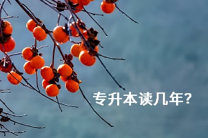 專升本讀幾年？