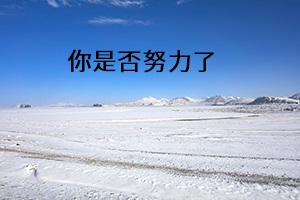 你是否努力了