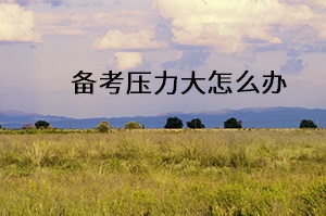 備考?jí)毫Υ笤趺崔k