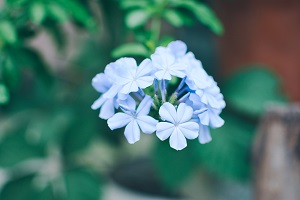 擴(kuò)招后報(bào)考人數(shù)是否會(huì)激增？