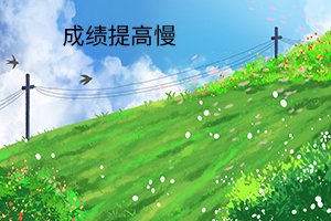 成績提高慢