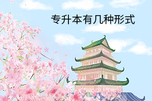 專升本有幾種形式
