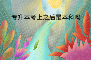 專升本考上之后是本科嗎