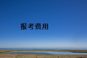 報(bào)考費(fèi)用