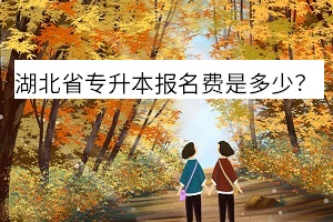 湖北省專升本報(bào)名費(fèi)是多少