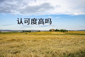 認(rèn)可度高嗎