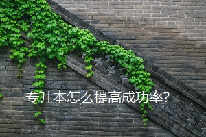 專升本怎么提高成功率？