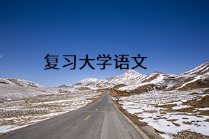復(fù)習(xí)大學(xué)語文