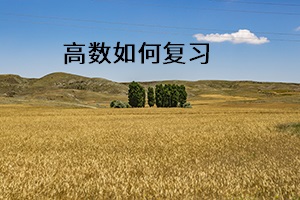 高數(shù)如何復(fù)習