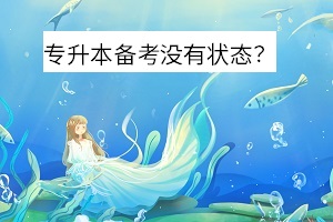 專升本備考沒有狀態(tài)