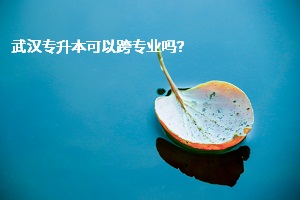 武漢專升本可以跨專業(yè)嗎？