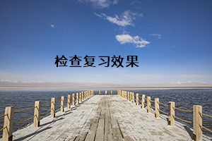 檢查復(fù)習(xí)效果