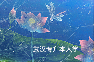 武漢專升本大學(xué)