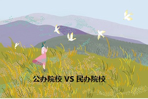 公辦院校 VS 民辦院校