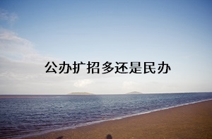 公辦擴(kuò)招多還是民辦