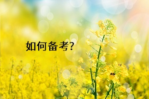 如何備考？
