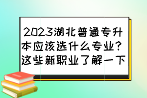 2023湖北普通專升本應(yīng)該選什么專業(yè)？這些新職業(yè)了解一下